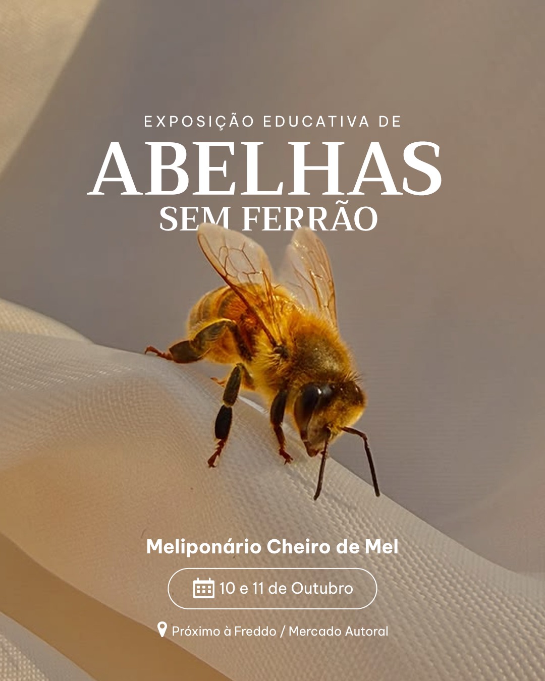 Exposição Educativa de Abelhas Sem Ferrão