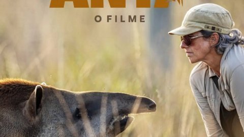 Anta – O Filme
