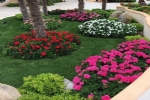 Foto 24