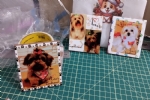 Foto 41