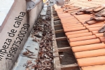 Foto 41