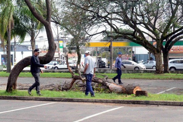 Tem início força-tarefa de zeladoria urbana na região do bairro Paulista
